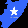 Prime Minister meets with farmers: “strong export led agriculture sector key to securing Somalia’s future”