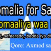 Somalia for Sale: Soomaaliya waa iib (Wasaarada Maaliyadda)
