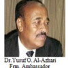 SOMALIA: UN & International Community Share Collective  Responsibility | By Dr.Yusuf  O.Al-Azhari