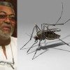 Will Rawlings unleash mosquitoes on Somalia? by Elizabeth Ohene/BBC