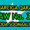 SomaliTalk.com oo Taageertay Go’aankii Golaha Wasiirada ee Sharciga Badda Soomaaliyeed, Barlamaankana ka codsatay in ay Dastuurka ku daraan Law no. 37